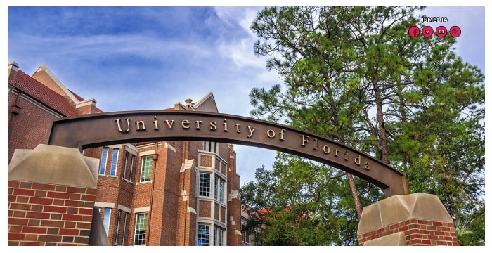 University of Florida Online Scholarships