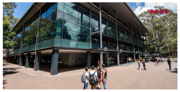 University of Wollongong Offers Online Scholarships for Students at All Levels of Study