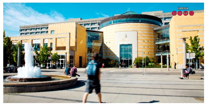 York University